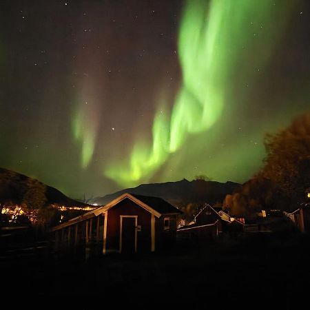Koselig Dyregard I Tromso 호텔 외부 사진
