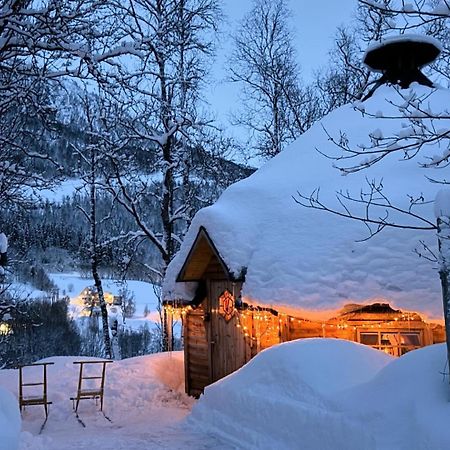 Koselig Dyregard I Tromso 호텔 외부 사진