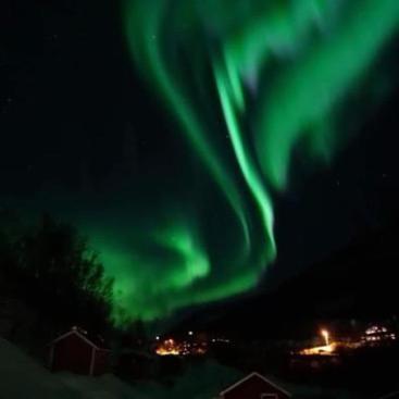 Koselig Dyregard I Tromso 호텔 외부 사진