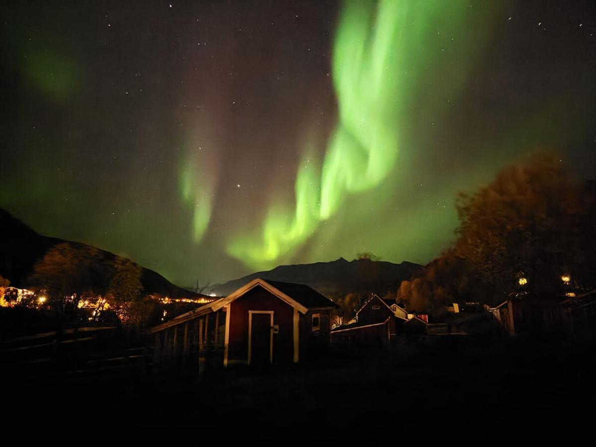 Koselig Dyregard I Tromso 호텔 외부 사진